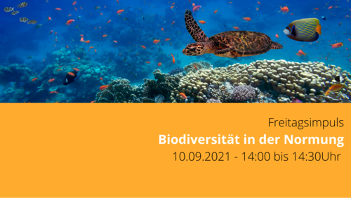 Eventbeschreibung "Biodiversitaet in der Normung" und Fische Ozean Korallenriff